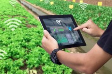 معرفی ۸۰ ایده در حوزه استارتاپ کشاورزی