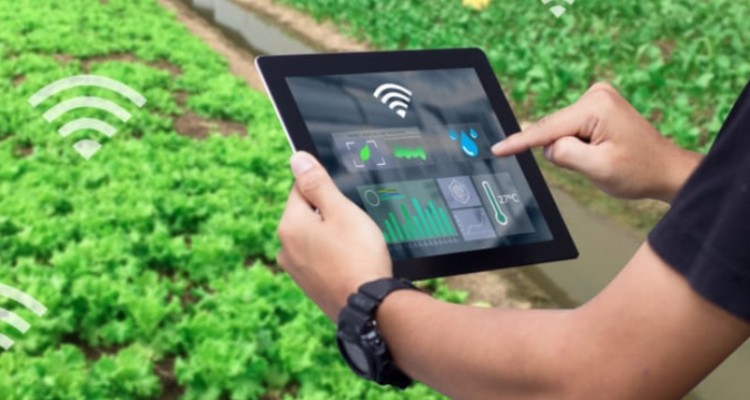 معرفی ۸۰ ایده در حوزه استارتاپ کشاورزی