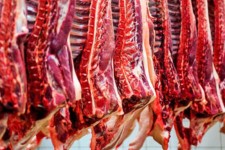 اجرای طرح تولید قراردادی گوشت در ایلام