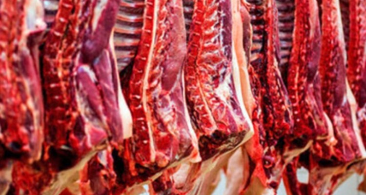 اجرای طرح تولید قراردادی گوشت در ایلام