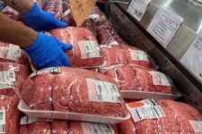 مدیر کل دامپزشکی: شایع ترین راه انتقال بیماری تب کریمه کنگو کشتار غیر مجاز است