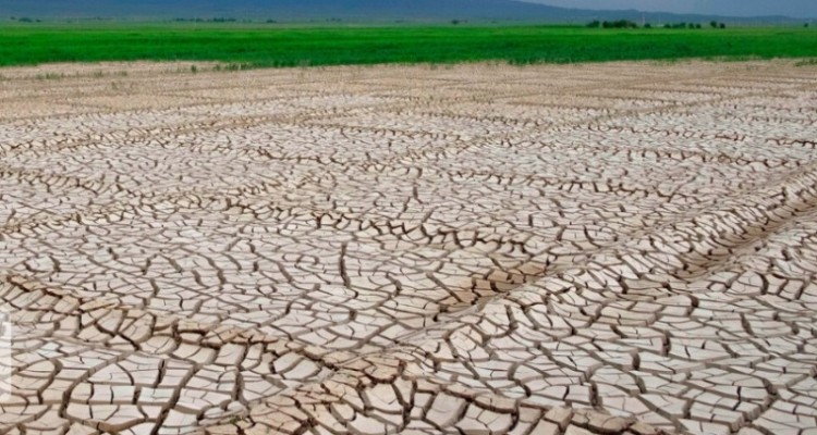 پرداخت خسارت خشکسالی به کشاورزان ایلامی