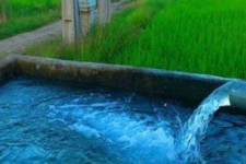 برق زمین های کشاورزی به یک شرط رایگان می شود