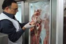 ضبط و معدوم سازی بیش از ۲۶ هزار کیلوگرم فرآورده خام دامی