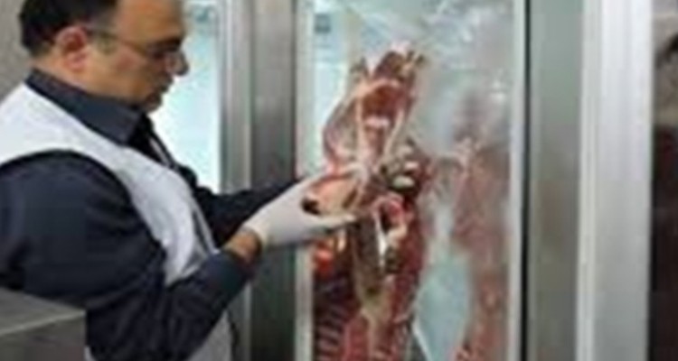 ضبط و معدوم سازی بیش از ۲۶ هزار کیلوگرم فرآورده خام دامی