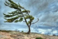 تند باد و گرد و غبار محلی در نواحی مرزی