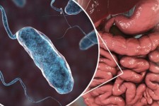 زائرین مسائل بهداشتی در کشور عراق را رعایت کنند/ موارد مشاهده شده از وبا در مرز ایلام