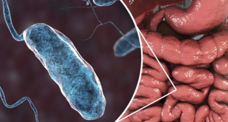 زائرین مسائل بهداشتی در کشور عراق را رعایت کنند/ موارد مشاهده شده از وبا در مرز ایلام