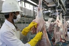 ذبح دام قربانی در کشتارگاه تحت نظارت دامپزشکی صورت گیرد