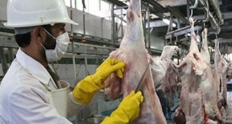 ذبح دام قربانی در کشتارگاه تحت نظارت دامپزشکی صورت گیرد