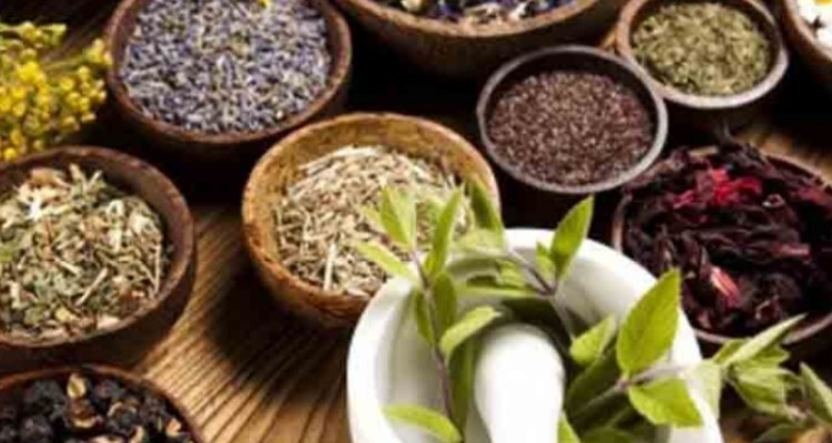 ایجاد ۶ واحد فرآوری و بسته بندی گیاهان دارویی در ملکشاهی