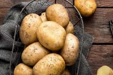 کشت مکانیره سیب زمینی در شهرستان هلیلان برای اولین بار