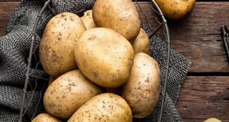 کشت مکانیره سیب زمینی در شهرستان هلیلان برای اولین بار