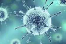 خیز دوباره کرونا/ ۴ شهرستان ایلام در وضعیت نارنجی