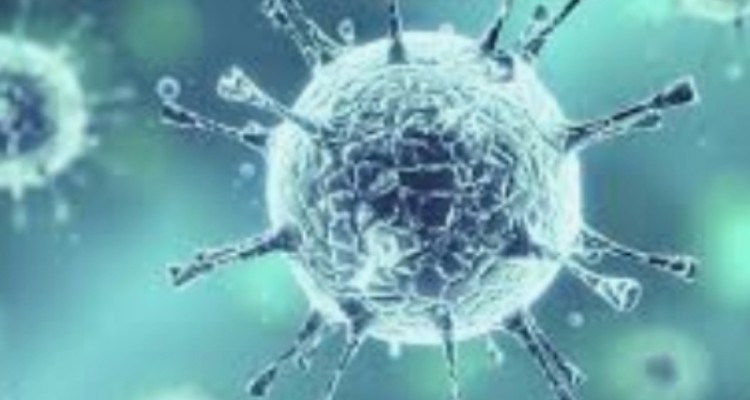 خیز دوباره کرونا/ ۴ شهرستان ایلام در وضعیت نارنجی