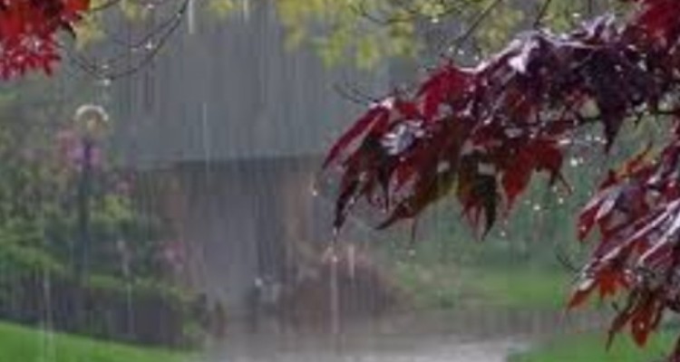 صدور هشدار زرد هواشناسی برای ایلام