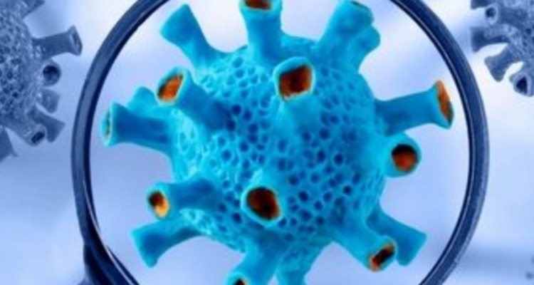 ثبت ۵۹ مورد جدید کرونا در ایلام