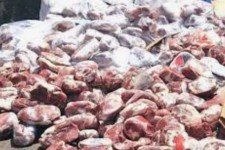 ضبط بیش از ۲۷ تن فرآورده خام‌ دامی در استان