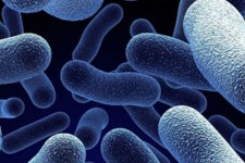 شناسایی یک مورد مبتلا به التور (وبا) در ایلام