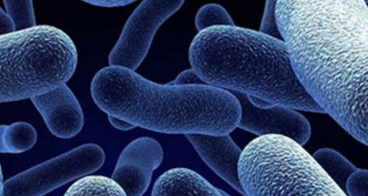 شناسایی یک مورد مبتلا به التور (وبا) در ایلام