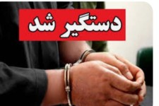 دستگیری قاتل و کشف راز جسد رها شده در پارک چغاسبز