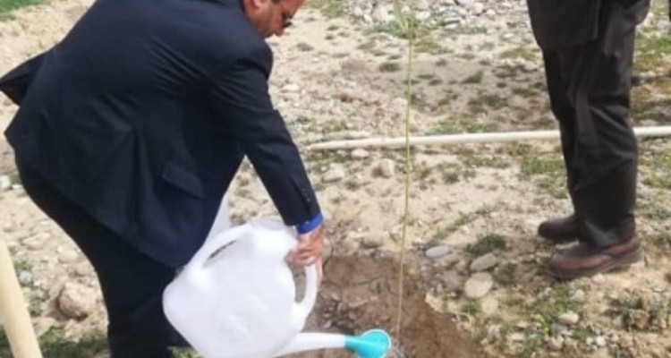 ۴۴ کیلومتر از راه های روستای بانرحمان نهالکاری شد