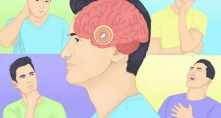 نقش آمیگدال در رفتار و احساسات انسان