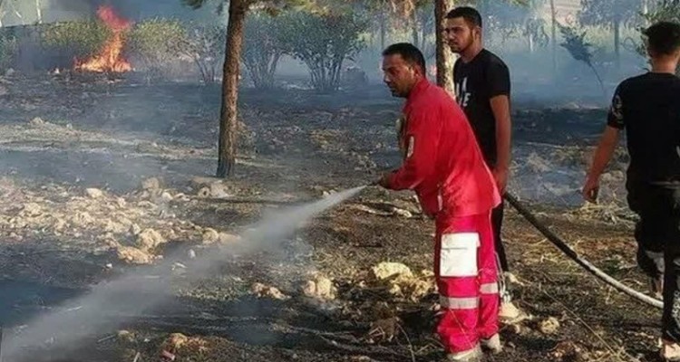آتش سوزی در نهالستان منابع طبیعی شهرستان سیروان