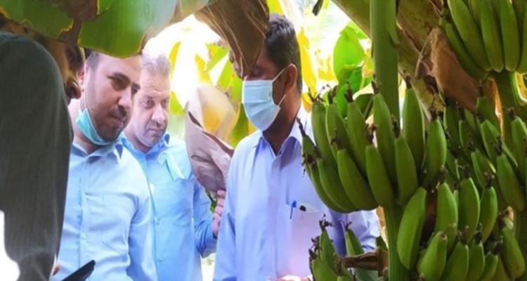 تاکید ویژه مقام معظم رهبری بر توسعه گنج پنهان/ برنامه جدی وزارت تعاون برای شکوفایی سواحل مکران