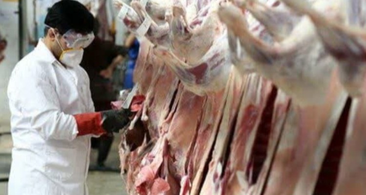 نظارت بر مراکز عرضه فرآورده های خام پروتئینی در ایلام تا پایان ماه رمضان ادامه دارد