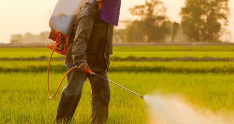 آفت زدایی 363 هزار هکتار از اراضی کشاورزی ایلام