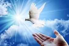 آزادی 13 زندانی ایلامی در دهه کرامت