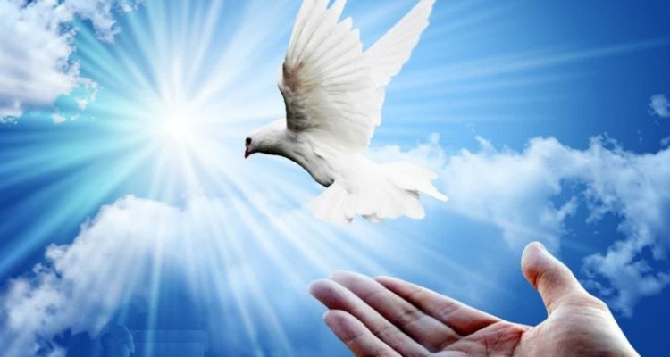 آزادی 13 زندانی ایلامی در دهه کرامت