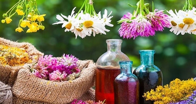 طب سنتی میراثی برای زندگی سالم