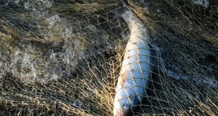 مرگ یک ماهیگیر بر اثر برق گرفتگی