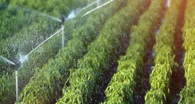 پیشرفت 87 درصدی سامانه گرمسیری ایلام