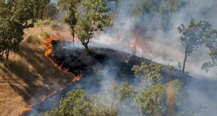 ایجاد یک هزار کیلومتر آتش بر در اراضی ملی ایلام