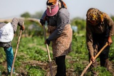 خودکفایی 303 مددجوی دهلرانی با دریافت تسهیلات اشتغال