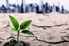 اجرای طرح تغذیه مصنوعی در دشت‌های ایلام