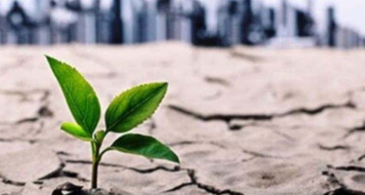 اجرای طرح تغذیه مصنوعی در دشت‌های ایلام