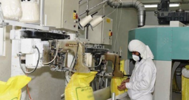 اشتغال پایدار برای ۵۰ نفر و تولید ماهانه ۱۵۰۰ تن آرد در کارخانه آرد شباب