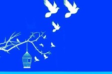 توفیقات پویش "به احترام امام حسین (ع) می بخشم" در ایلام