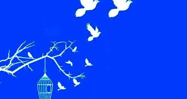 توفیقات پویش "به احترام امام حسین (ع) می بخشم" در ایلام