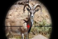 شکارچیان متخلف در ایوان 835 میلیون ریال جریمه شدند