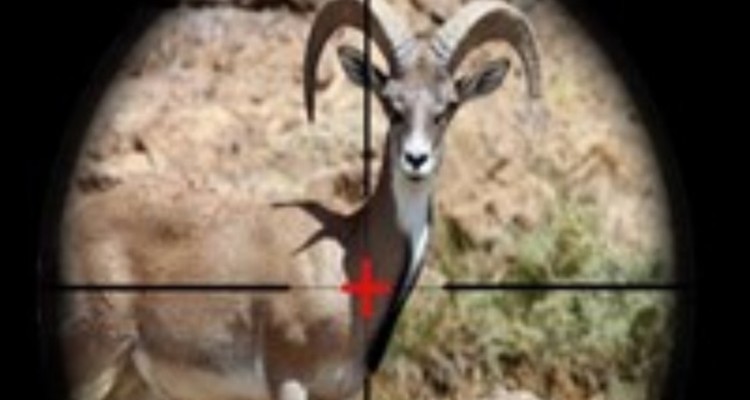 شکارچیان متخلف در ایوان 835 میلیون ریال جریمه شدند