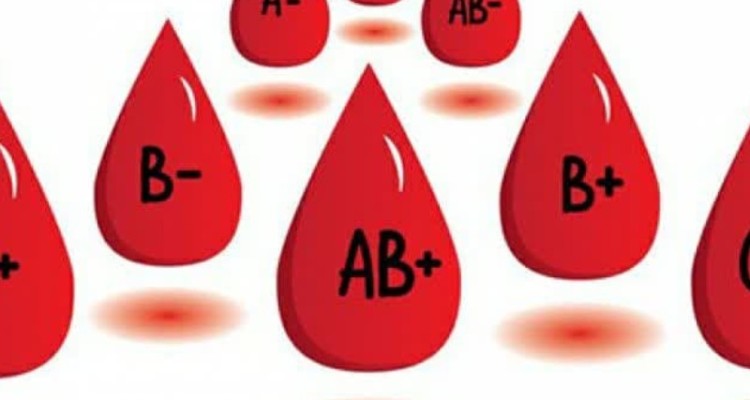 نیاز ضروری انتقال خون ایلام به گروه خونی o منفی