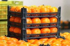 صدور 199 هزار تن محصولات کشاورزی از مرز مهران به عراق