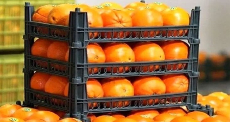 صدور 199 هزار تن محصولات کشاورزی از مرز مهران به عراق