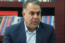 فاز اول درختکاری از مهران تا کوت عراق عملیاتی می‌شود