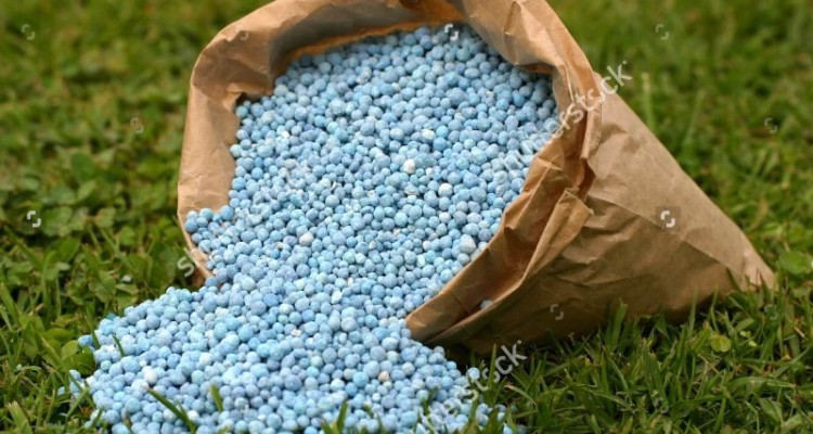 تخصیص 1800 تن کود شیمیایی در اختیار کشاورزان ایلامی